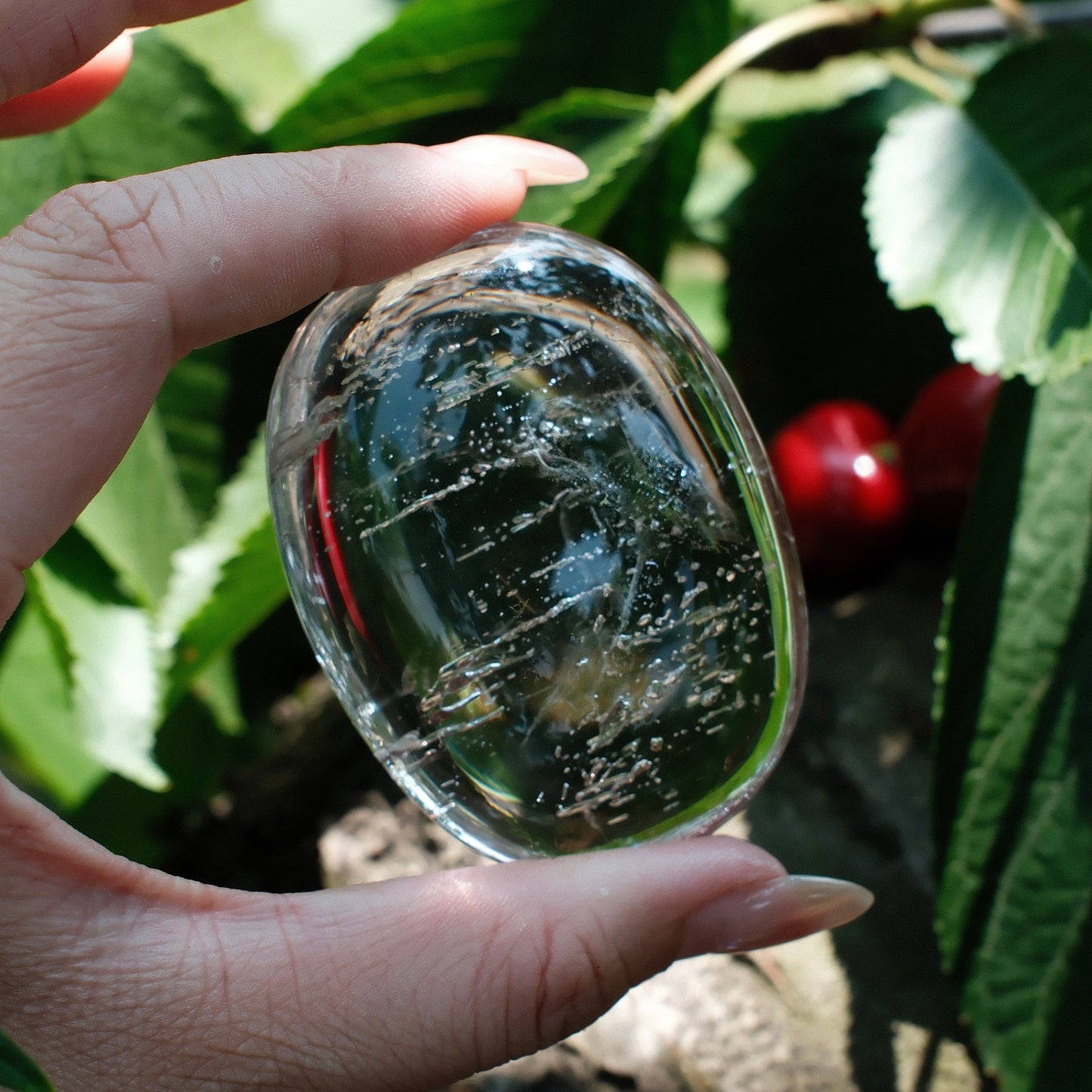 Enhydro Amethyst Palm Stone
