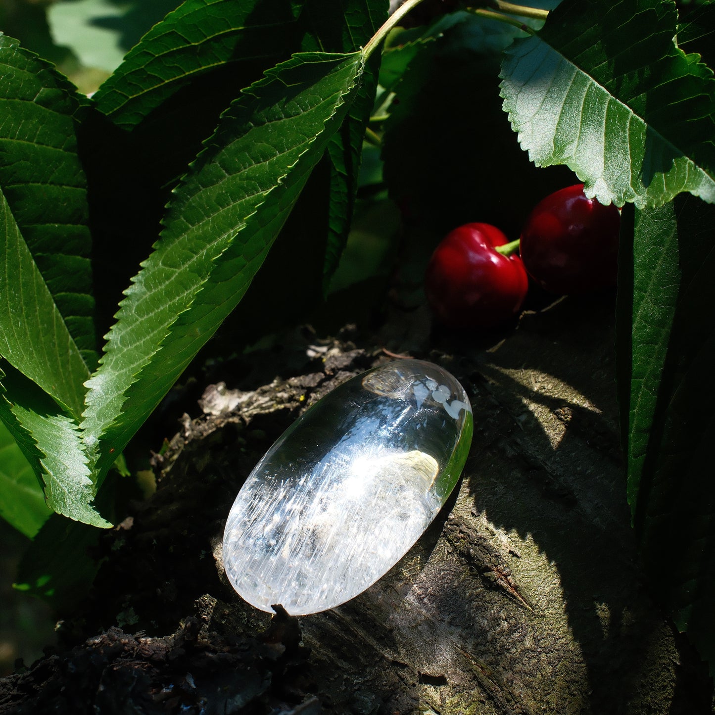 Half-Dome Enhydro White Quartz Palm Stone