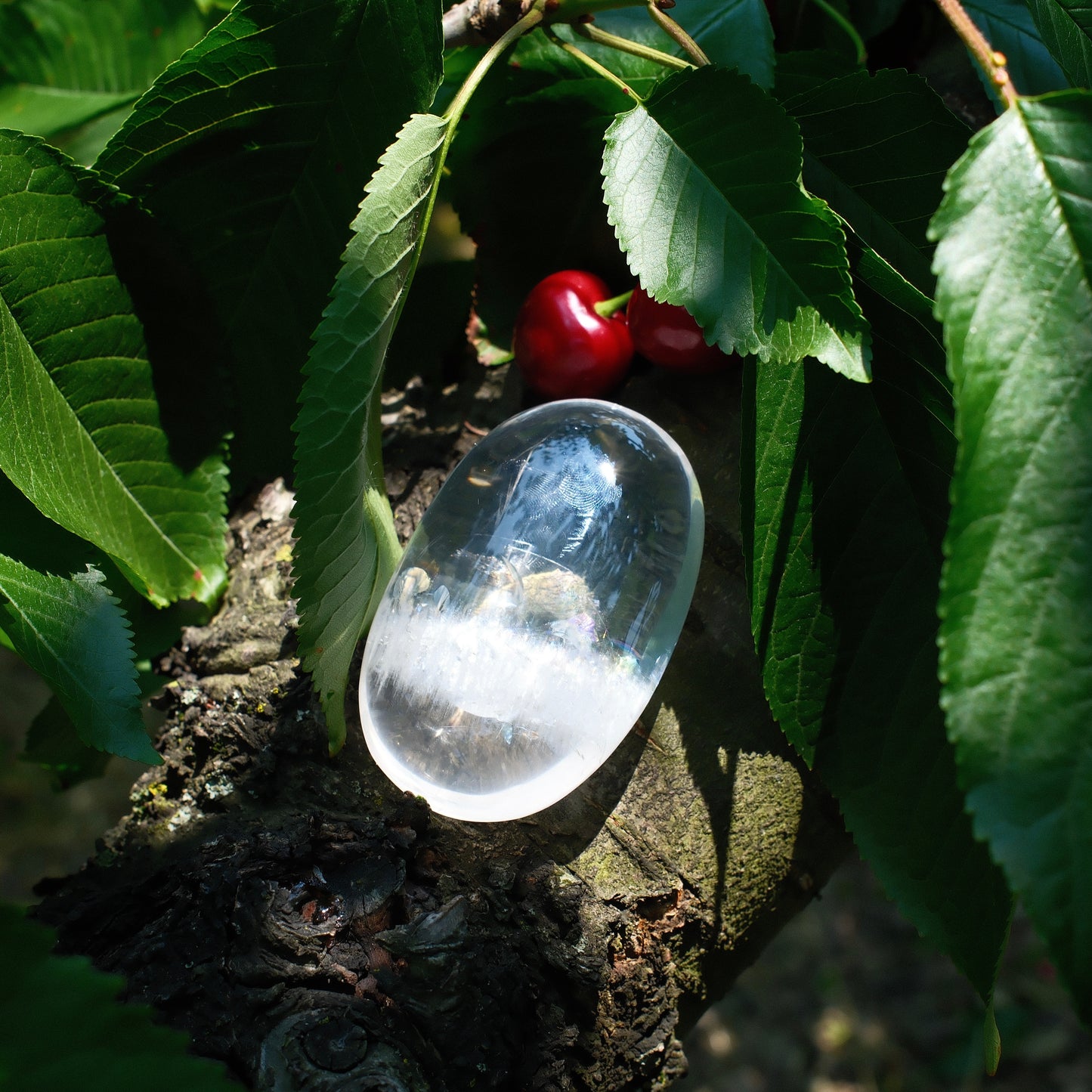 White Rutilated Quartz with Clear Faden Quartz Palm Stone