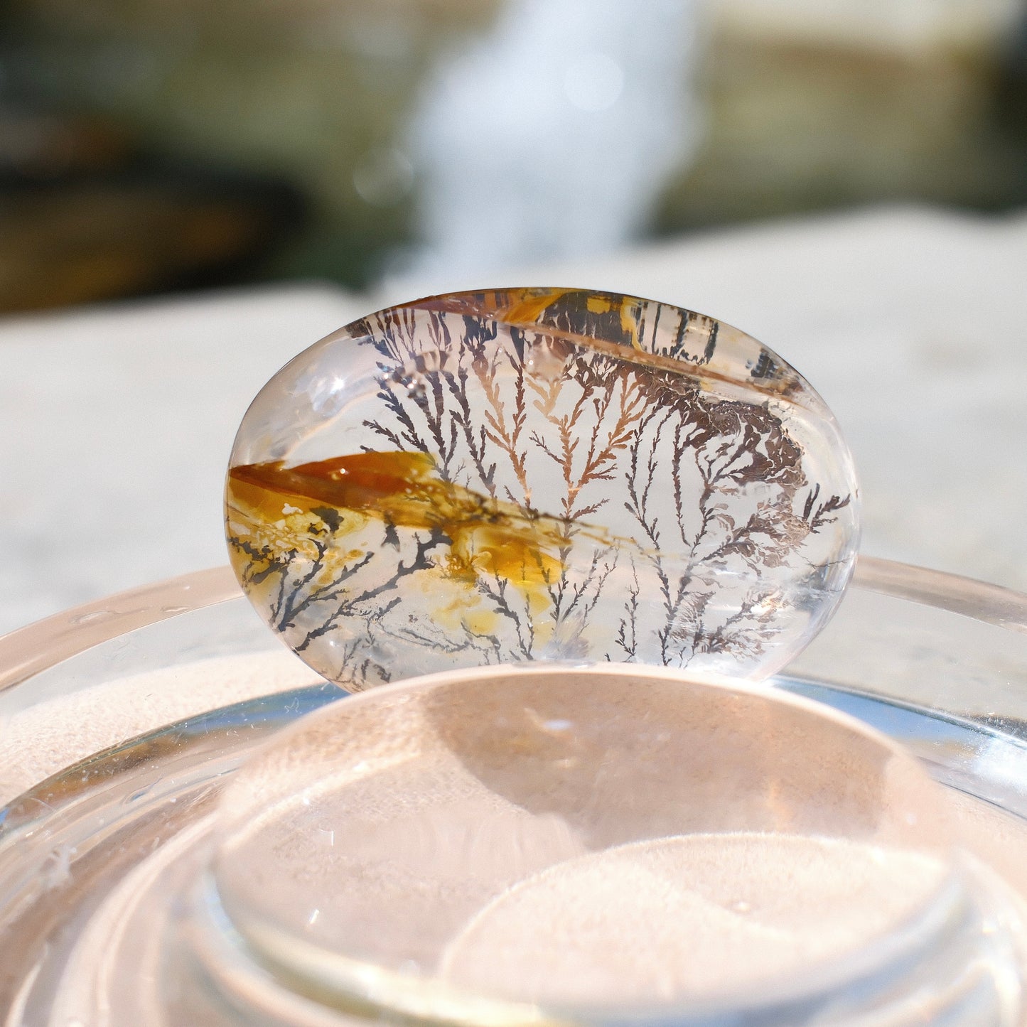 Dendritic Quartz Palm Stone – Natural Tree-Like Inclusions, Double-Sided Scenic Crystal