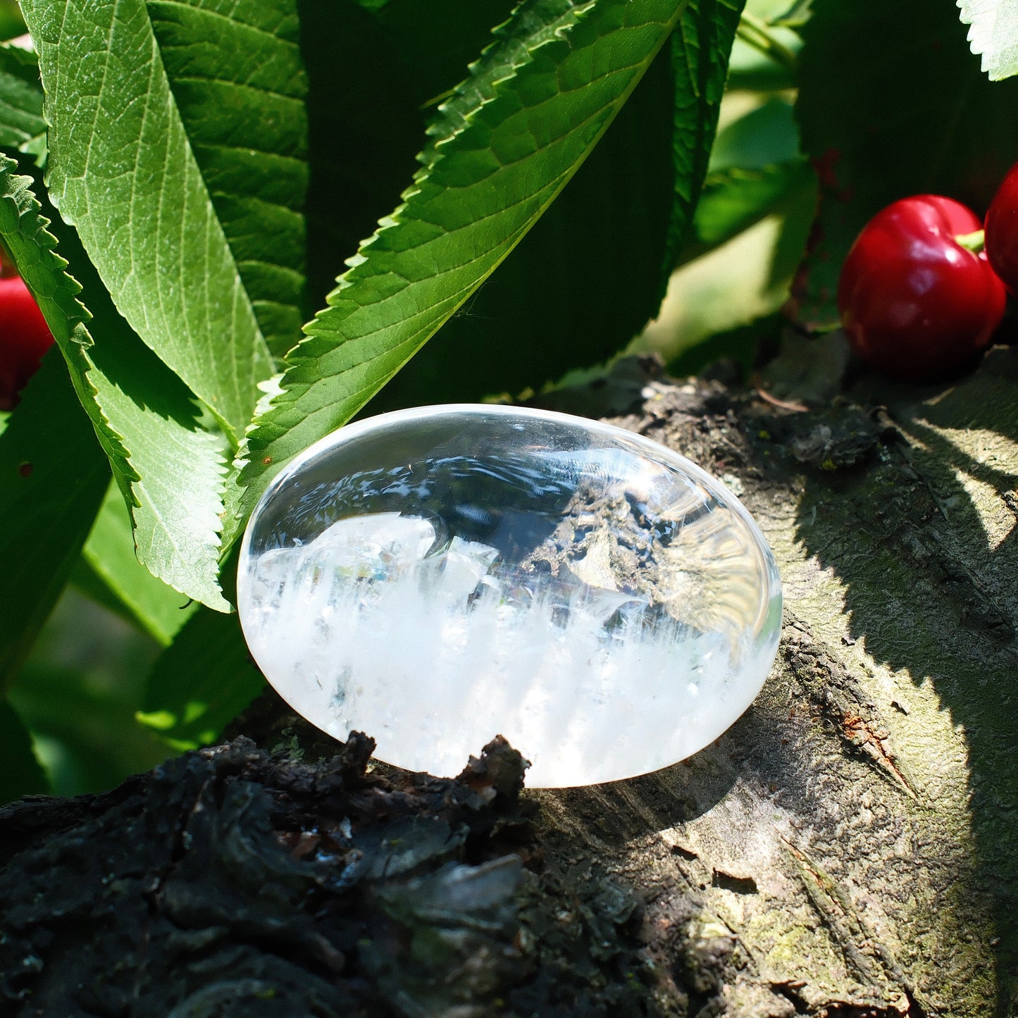 White Rutilated Quartz with Clear Faden Quartz Palm Stone