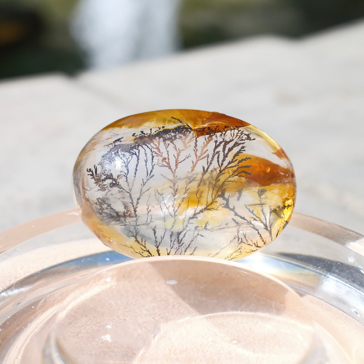 Dendritic Quartz Palm Stone – Natural Tree-Like Inclusions, Double-Sided Scenic Crystal