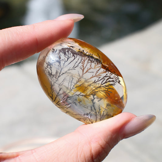 Dendritic Quartz Palm Stone – Natural Tree-Like Inclusions, Double-Sided Scenic Crystal